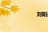 刘阳是什么人
