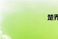 楚乔传邓伦