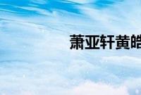 萧亚轩黄皓男友个人资料