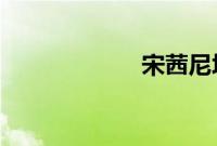 宋茜尼坤承认交往