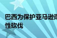 巴西为保护亚马逊雨林允许进行数英里的选择性砍伐