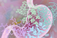 寻求竞争优势的运动员可能会在他们的肠道微生物群中找到优势