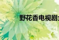 野花香电视剧全集免费观看高清