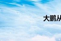 大鹏从搜狐离职