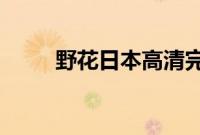野花日本高清完整版在线观看动漫
