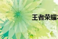 王者荣耀本命英雄测试