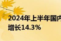 2024年上半年国内出游人次27.25亿,同比增长14.3%