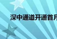 深中通道开通首月车流量破300万车次