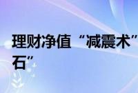 理财净值“减震术”受限，机构寻找新“压舱石”