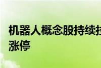 机器人概念股持续拉升，中大力德、柯力传感涨停