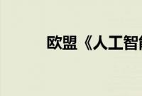 欧盟《人工智能法案》正式生效