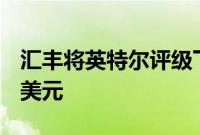 汇丰将英特尔评级下调至减持,目标价19.80美元