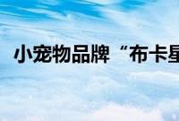 小宠物品牌“布卡星”完成近亿元A轮融资