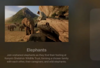 tvOS 18 在最新测试版中增加了一种访问 Safari 的巧妙方法