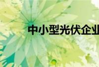中小型光伏企业筹划重整谋求自救