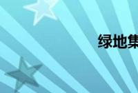 绿地集团太子爷