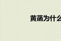 黄菡为什么离开非诚勿扰