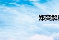 郑爽解释爽言爽语