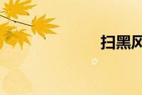 扫黑风暴第十集