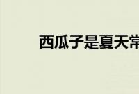 西瓜子是夏天常吃的西瓜里的籽吗