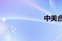 中美合拍西游记