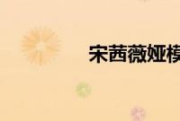 宋茜薇娅模仿王耀庆跳舞