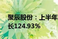 聚辰股份：上半年净利润1.43亿元，同比增长124.93%