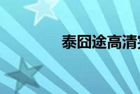 泰囧途高清完整版迅雷下载