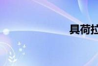 具荷拉生前日记