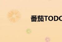 番茄TODO在线视频播放