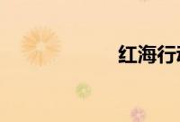 红海行动在线观看