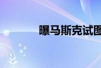 曝马斯克试图把绿植卖给员工