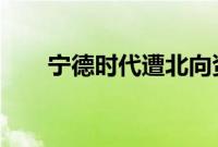 宁德时代遭北向资金净卖出6.18亿元