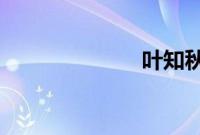 叶知秋特殊结局