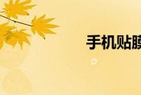 手机贴膜被收888元