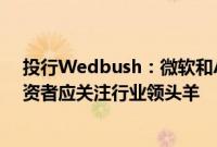投行Wedbush：微软和AMD业绩平息AI货币化疑虑，投资者应关注行业领头羊