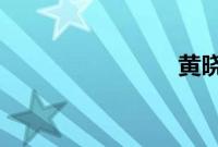 黄晓明身价