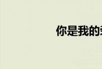 你是我的荣耀更新时间