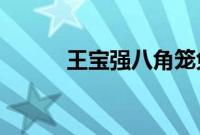 王宝强八角笼免费观看全集高清