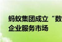 蚂蚁集团成立“数字蚂力”新公司，布局AI企业服务市场