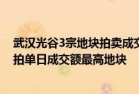 武汉光谷3宗地块拍卖成交36.77亿元，为高新区2024年土拍单日成交额最高地块