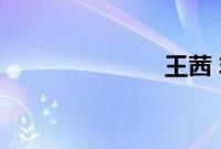 王茜 非诚勿扰