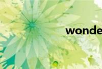 wonder girls整容