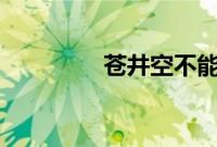 苍井空不能生育原因 图片