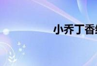 小乔丁香结皮肤多少钱