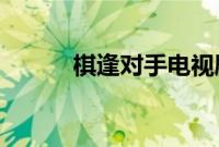 棋逢对手电视剧免费观看完整版