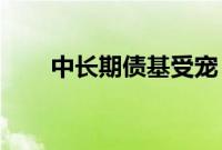中长期债基受宠，颠簸前行成主基调