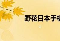 野花日本手机观看大全免费3