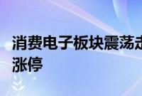 消费电子板块震荡走强，捷邦科技、雷柏科技涨停
