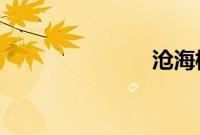 沧海横流下载